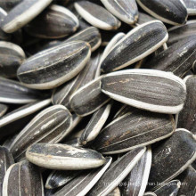 peeled sunflower seeds hot sale new crop long type